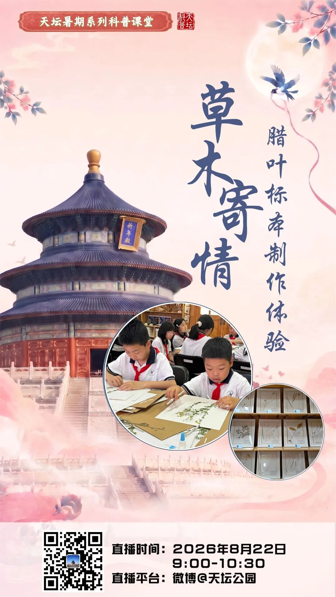 草木寄情 腊叶标本制作 草木寄情 腊叶标本制作