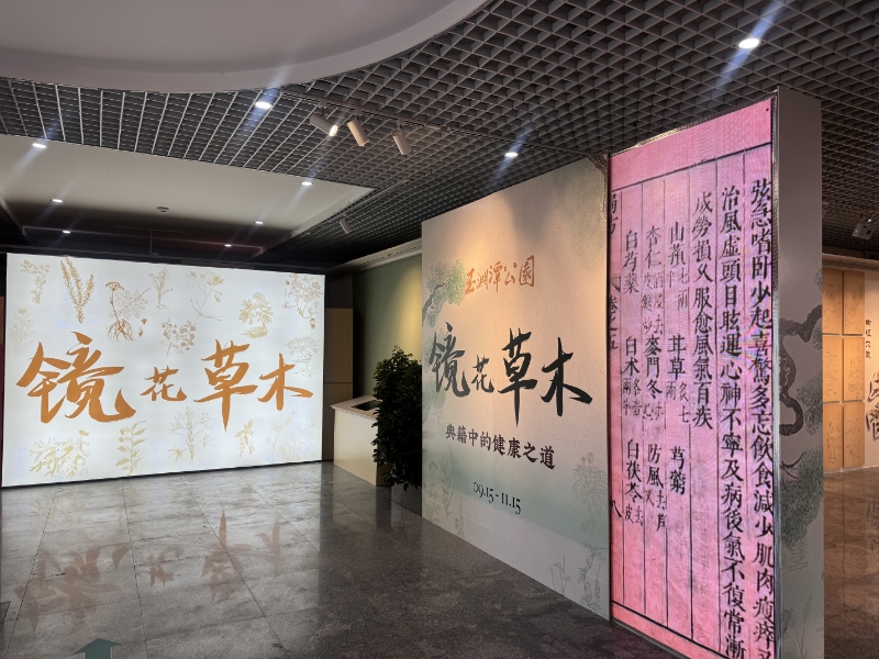 展览图片1.jpg