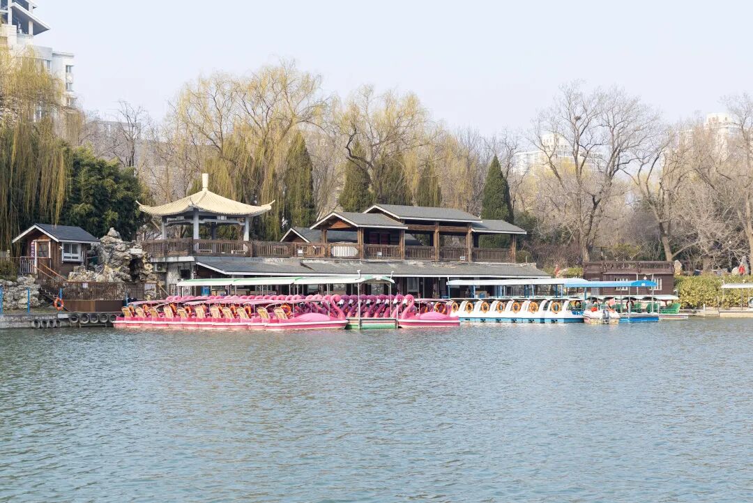 紫竹院游船码头 紫竹院游船码头