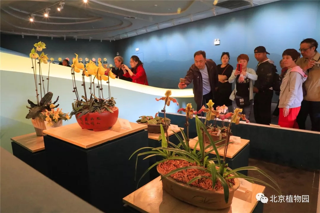 图片5:北京世界园艺博览会中国馆“中国特色珍稀植物展”.jpg