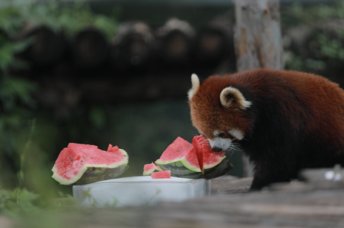 微信截图_20210721082630.png