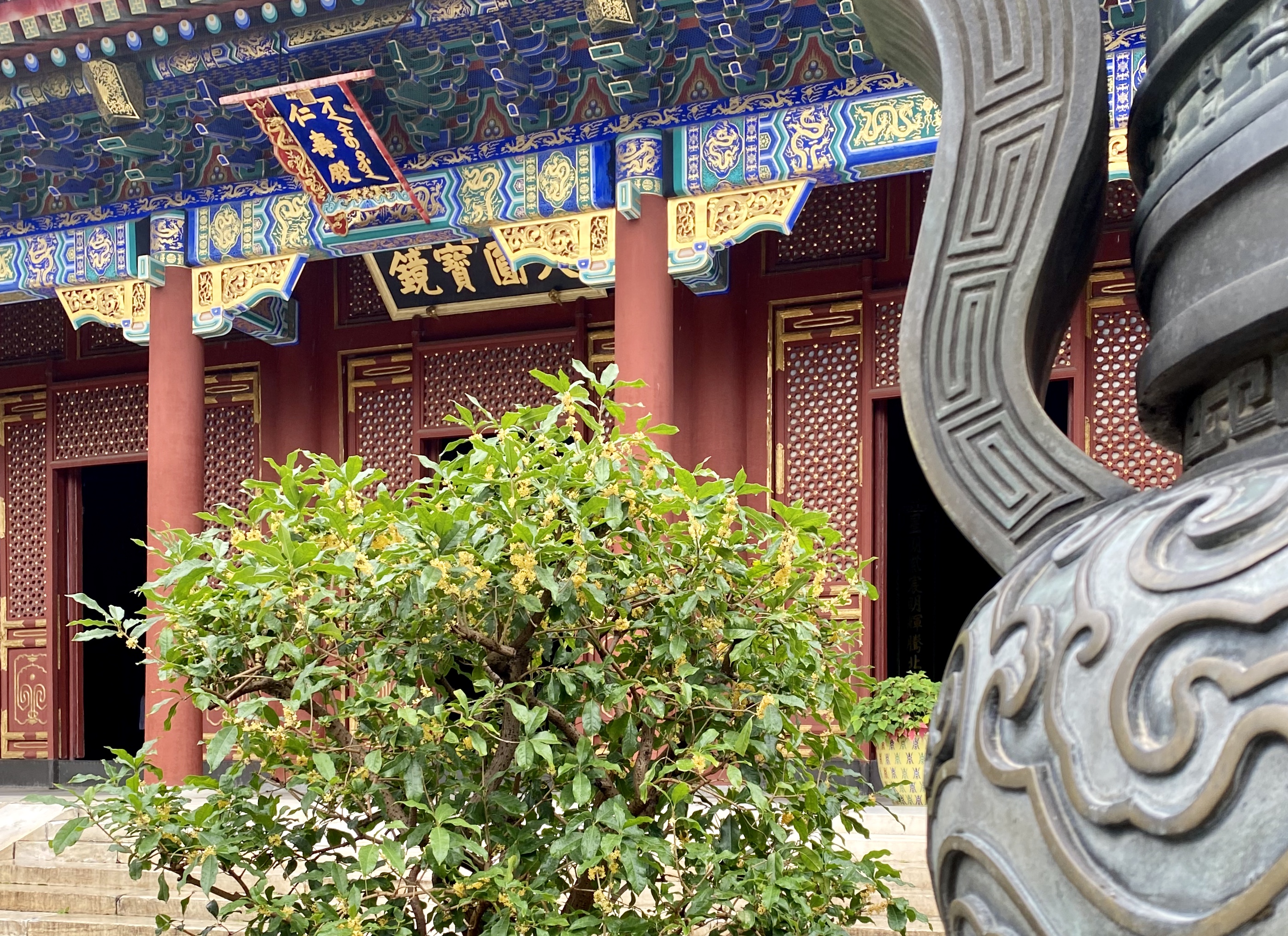 “颐和秋韵”.jpg “颐和秋韵”.jpg