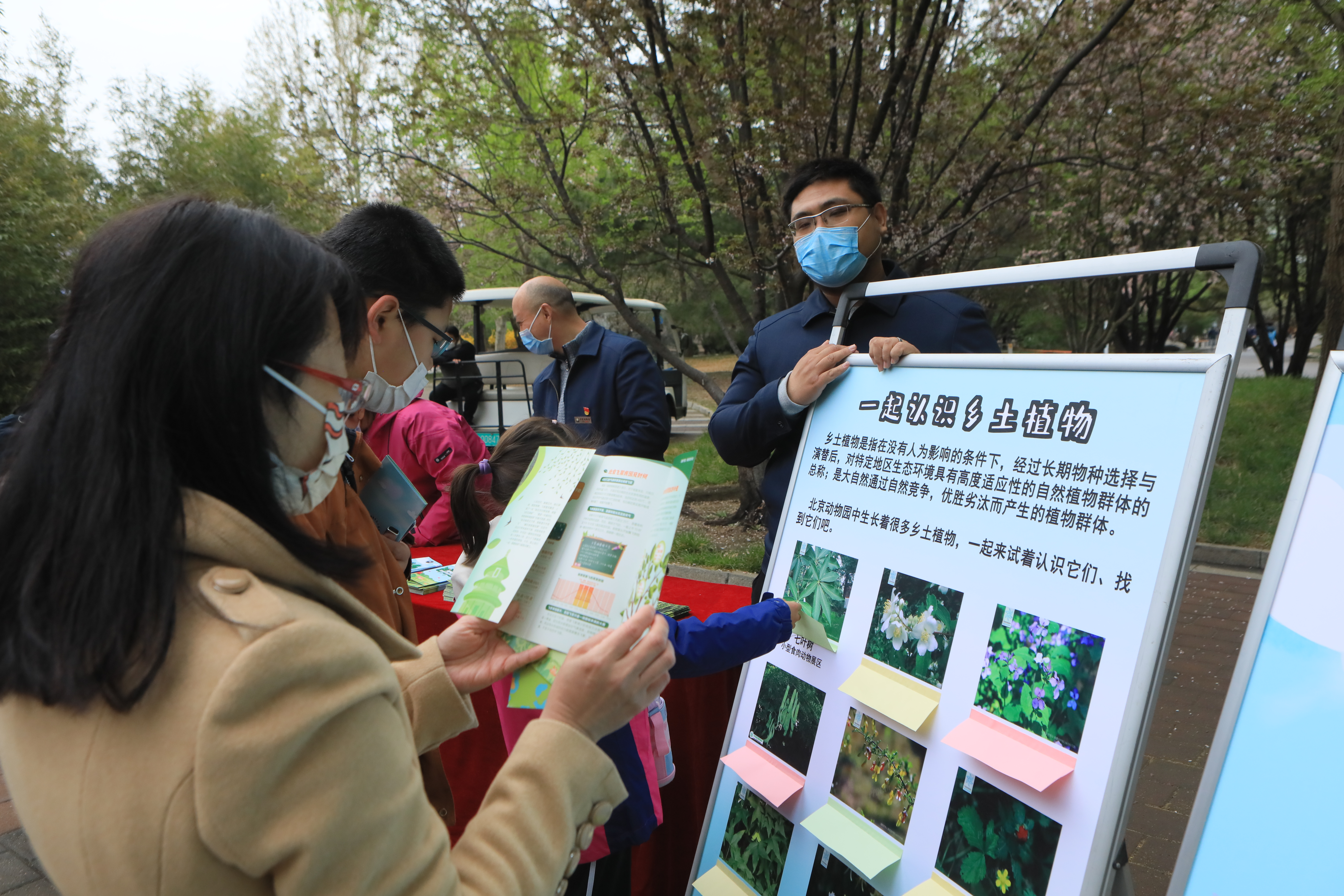 清明节传统文化节日活动图片.jpg
