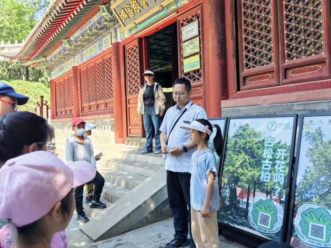 介绍黄栌、元宝枫的花、果结构