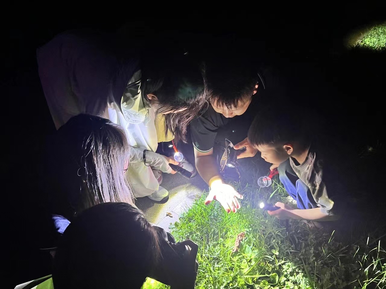 “夏日夜探”活动