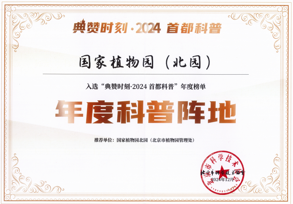 获奖证书