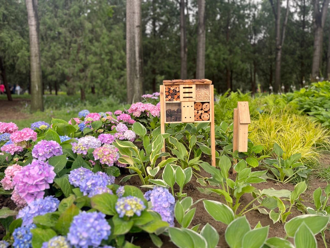 昆虫小屋照片
