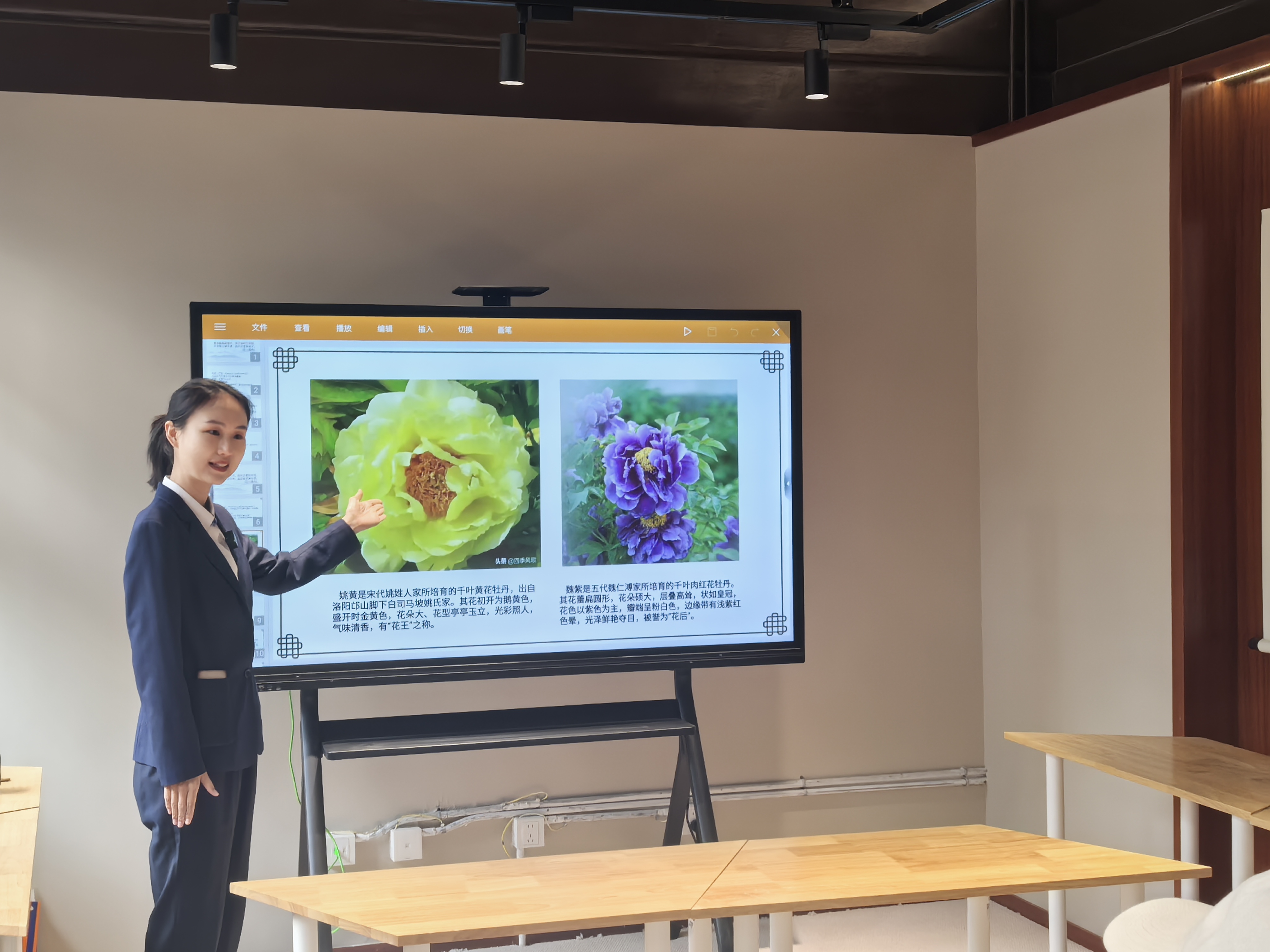 开展牡丹奖赏活动照片 开展牡丹奖赏活动照片