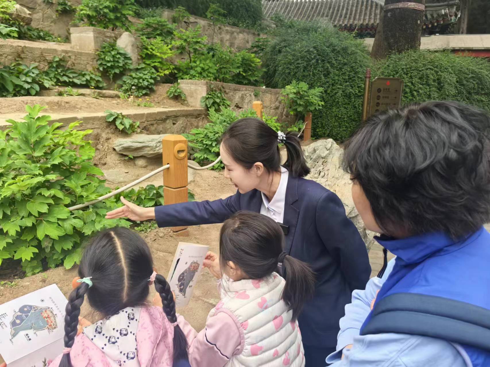 户外观赏牡丹特性照片 户外观赏牡丹特性照片