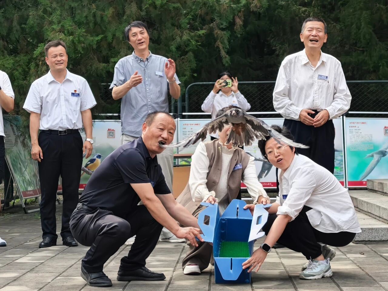放归鸟类照片.jpg