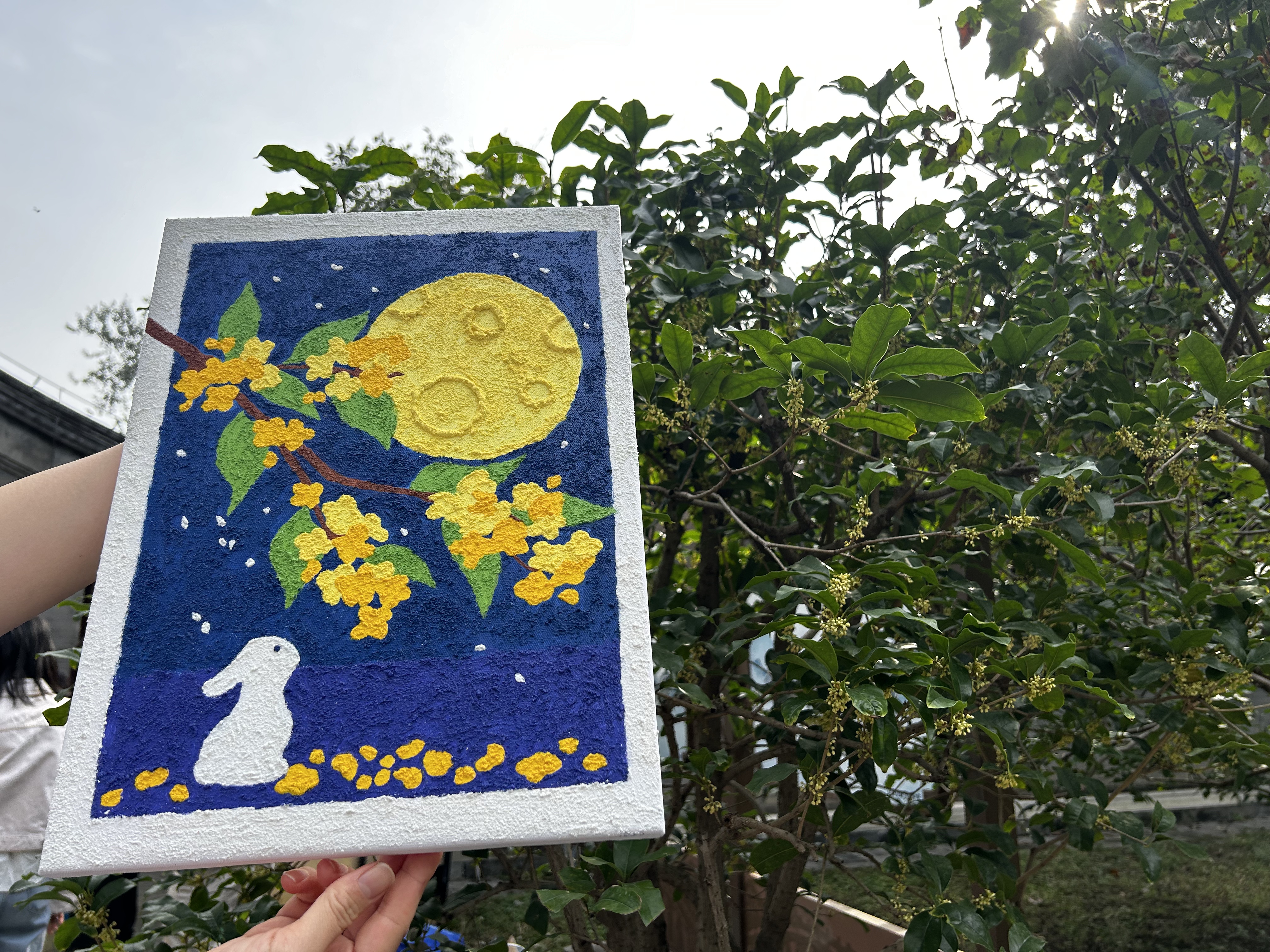 桂花文化.jpg