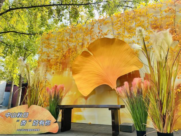 银杏主题观赏打卡点位照片.png 银杏主题观赏打卡点位照片.png