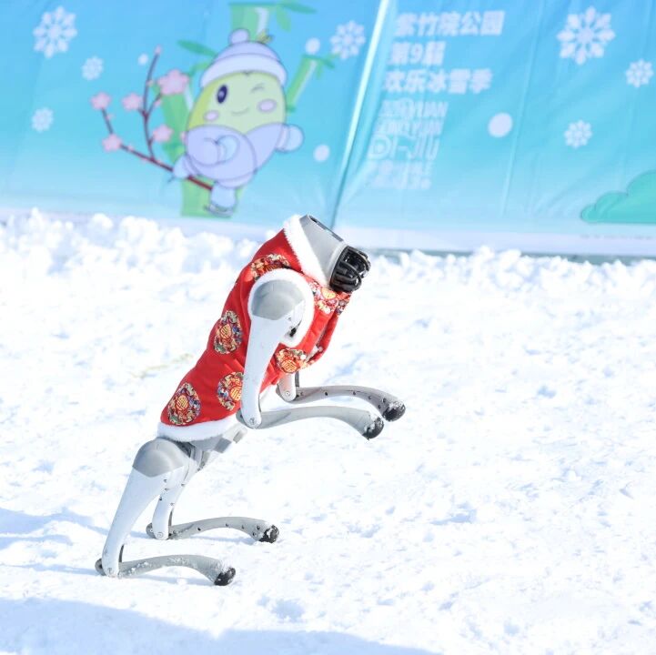 机器狗表演照片