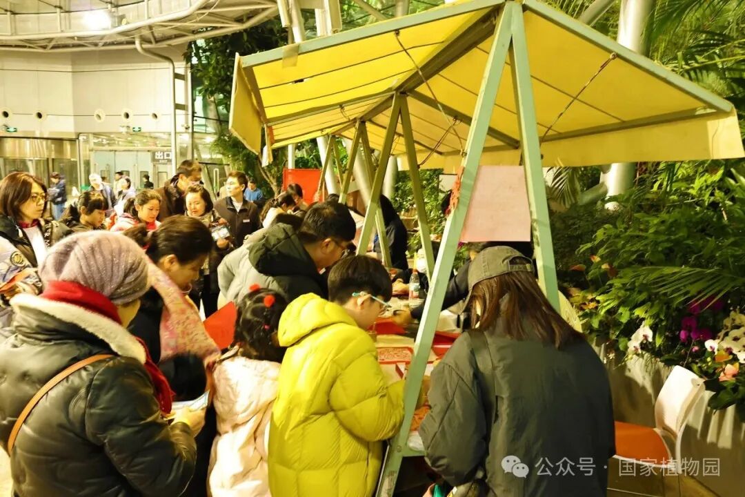 游客现场参与活动照片