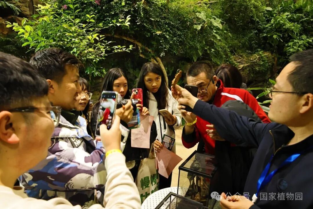 科普活动吸引游客参与