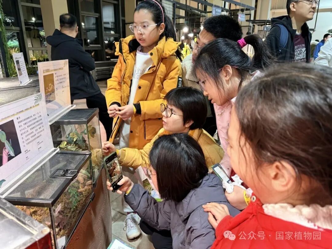 游客拍照打卡照片