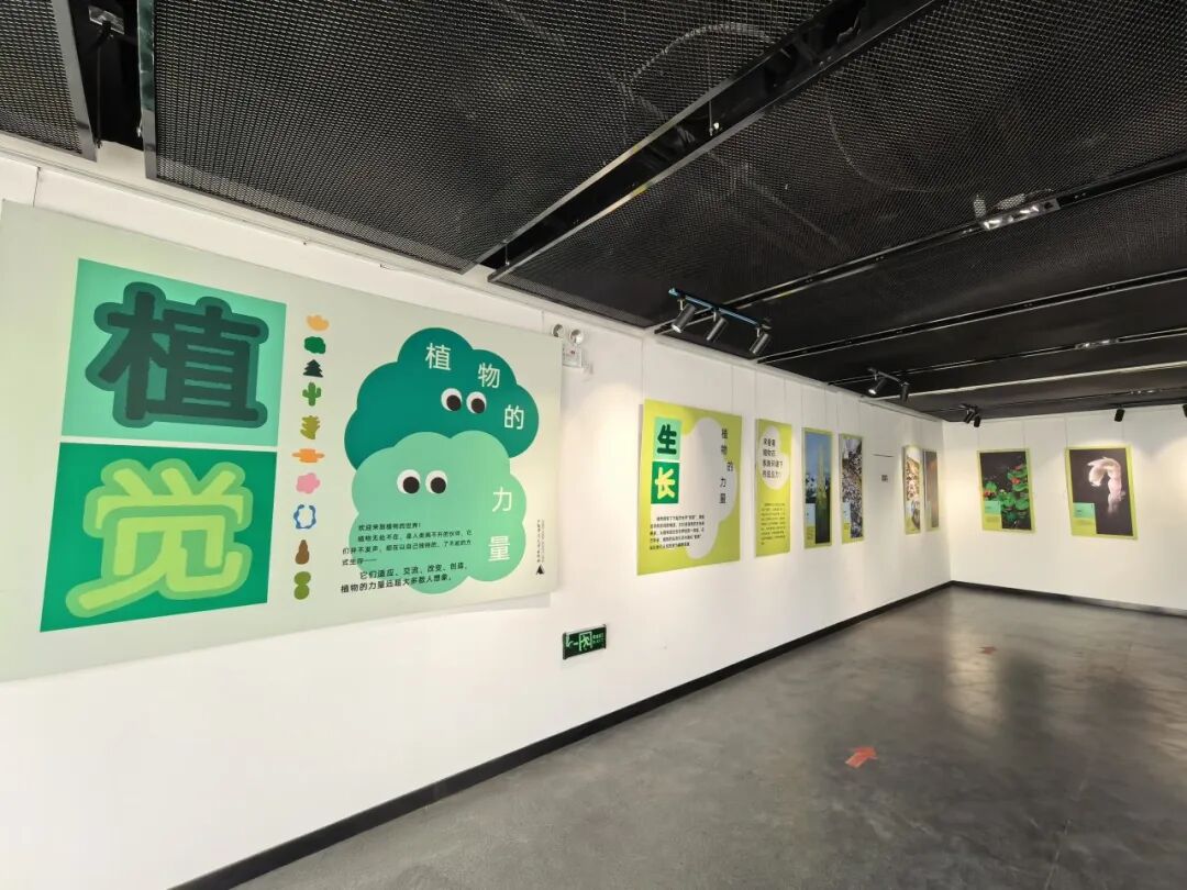 “植·觉:植物的力量”科普展于国家植物园科普馆拉开序幕 “植·觉:植物的力量”科普展于国家植物园科普馆拉开序幕