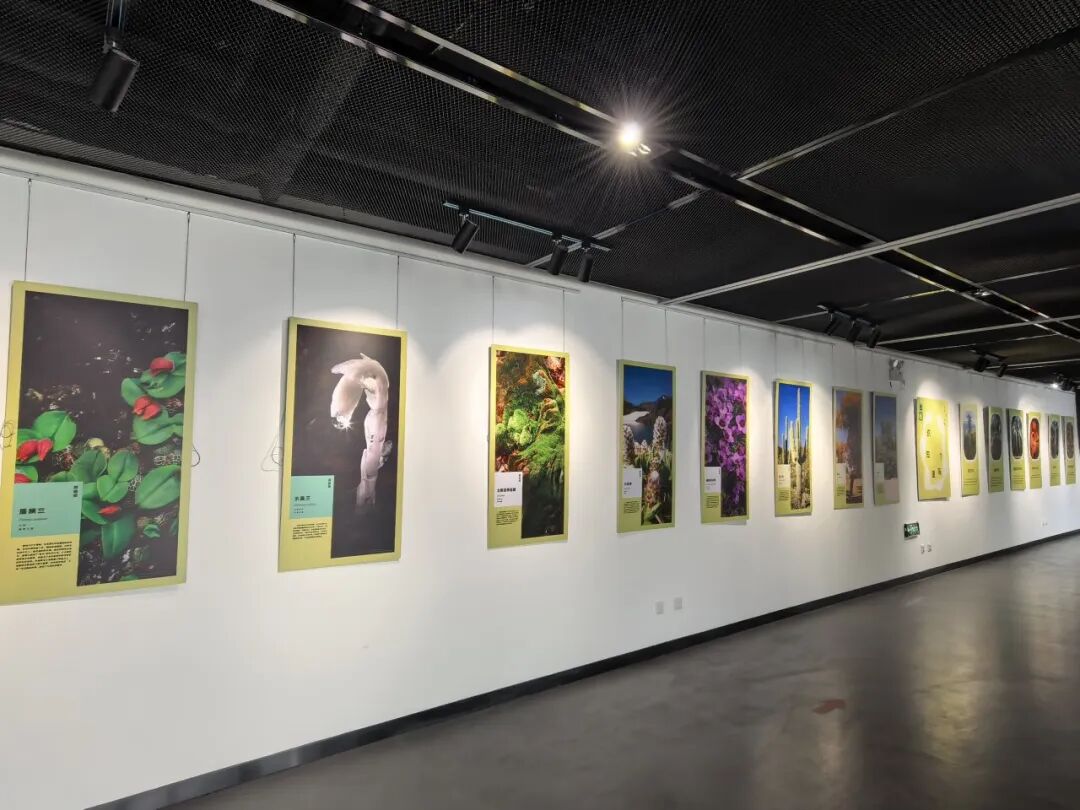 相关展览 相关展览