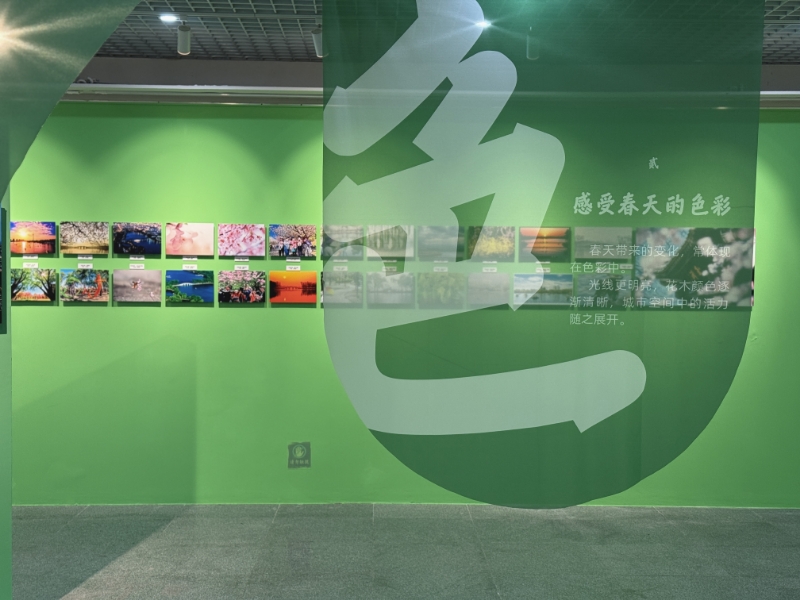 感受春天的色彩