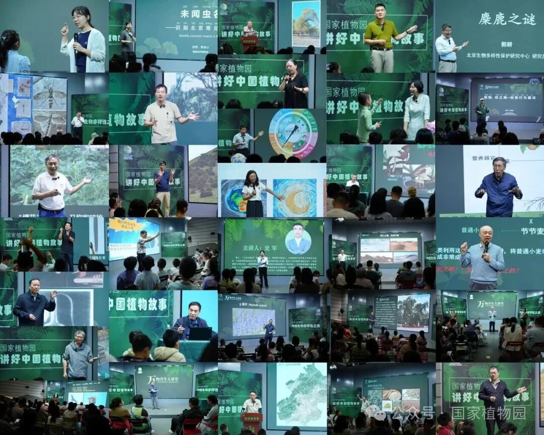 丰富科普研学活动合集