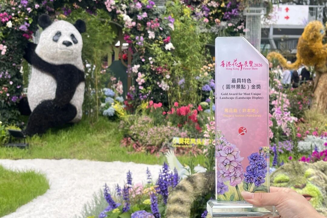 2026年香港花展布置