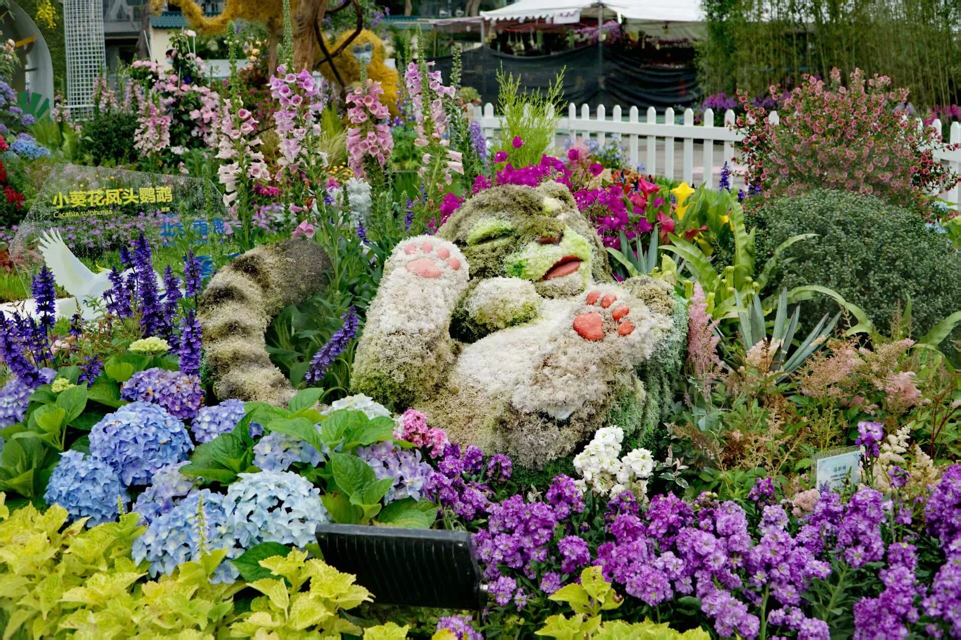 “万生栖梦”主题立体花坛特写