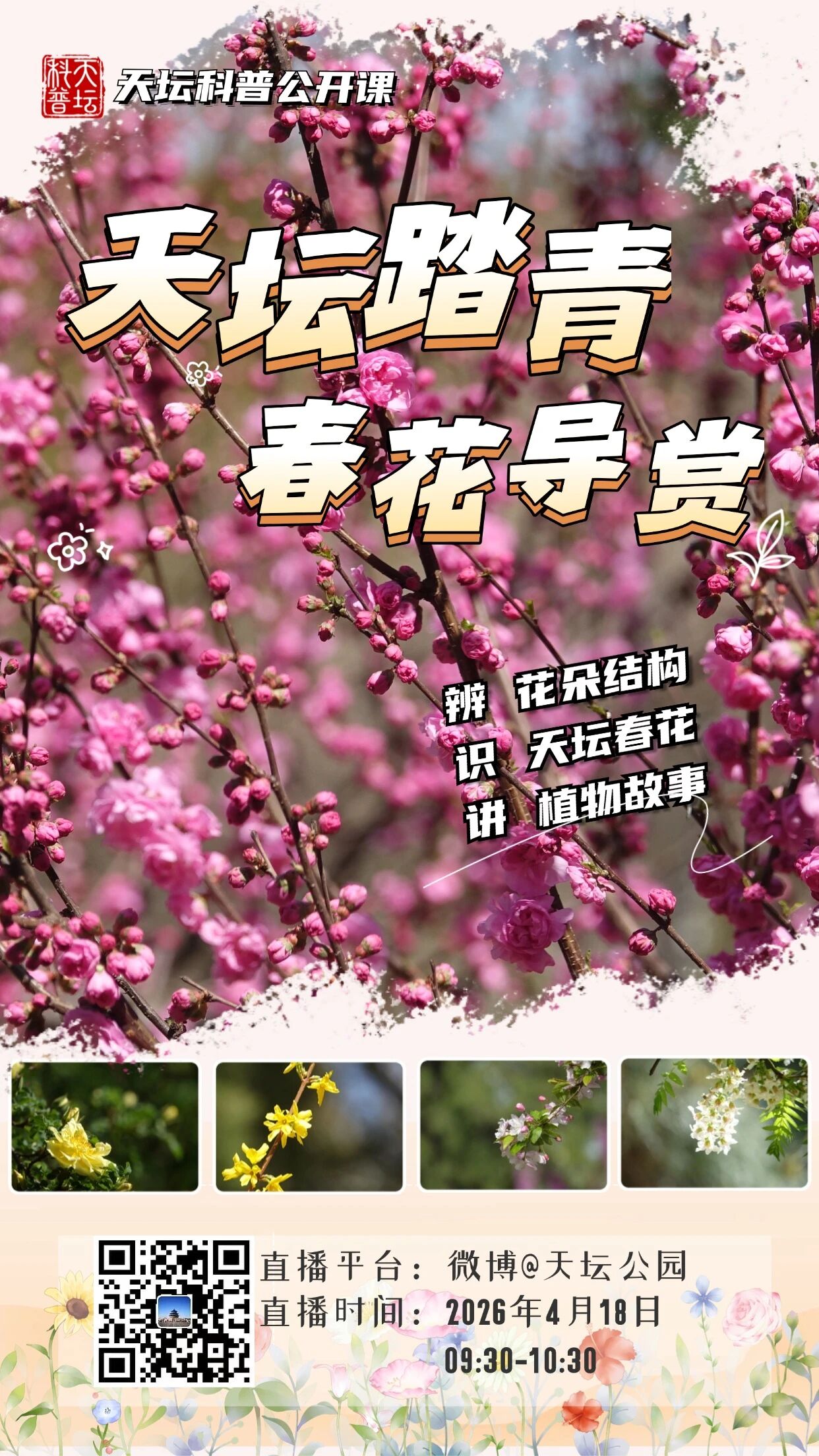 天坛踏青春花导赏.jpg