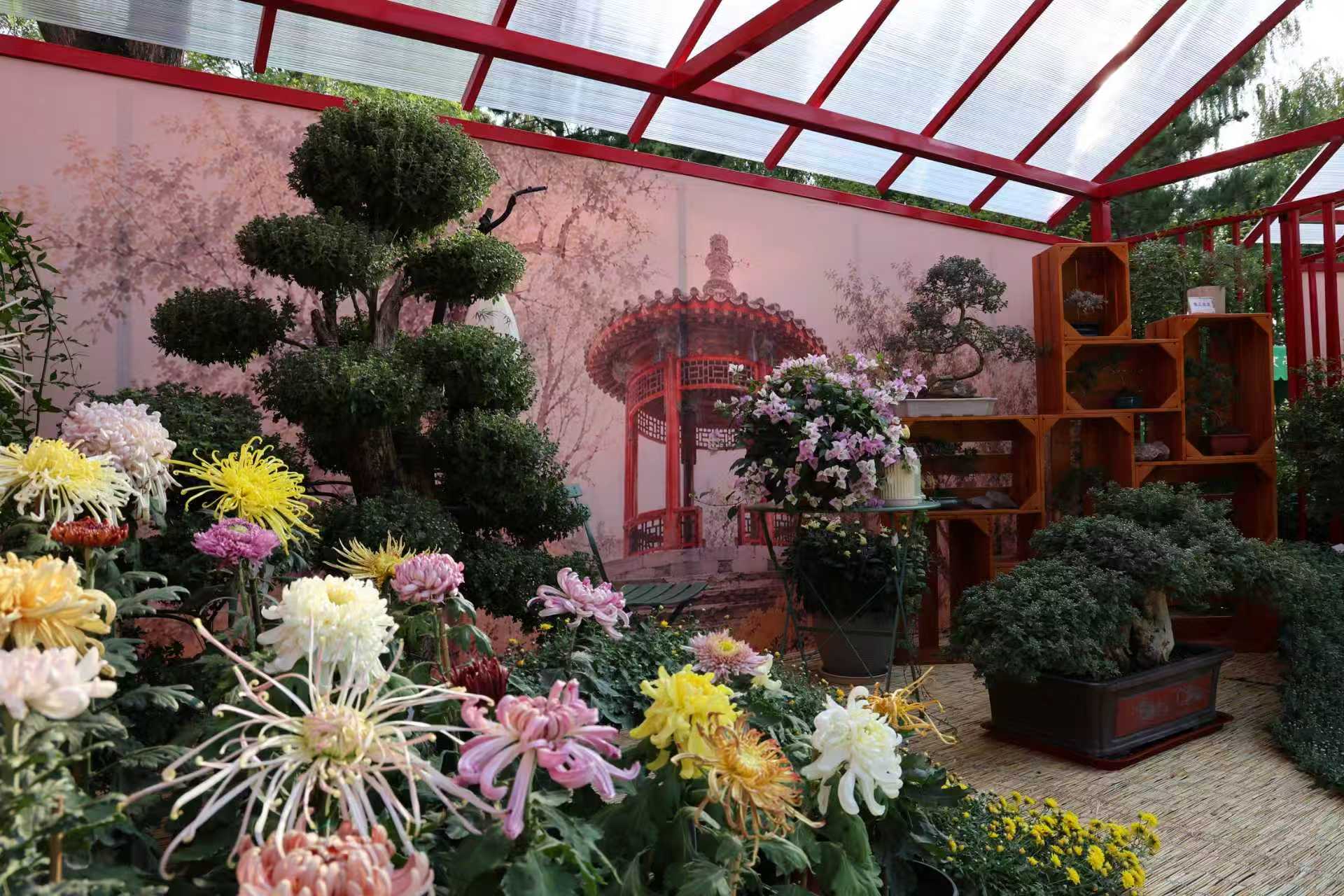“菊秀亭台”精品菊展展棚.jpg