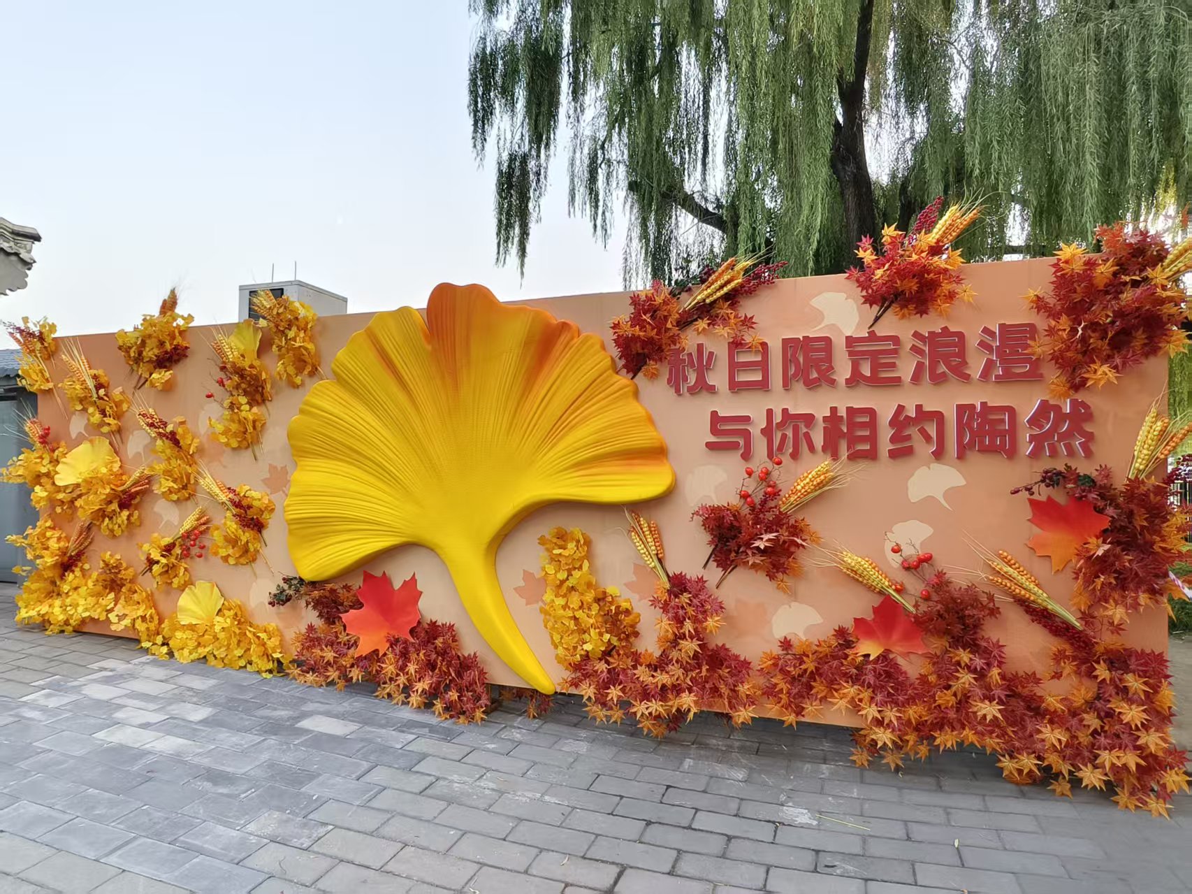 陶花园文创店西侧主题打卡墙.jpg