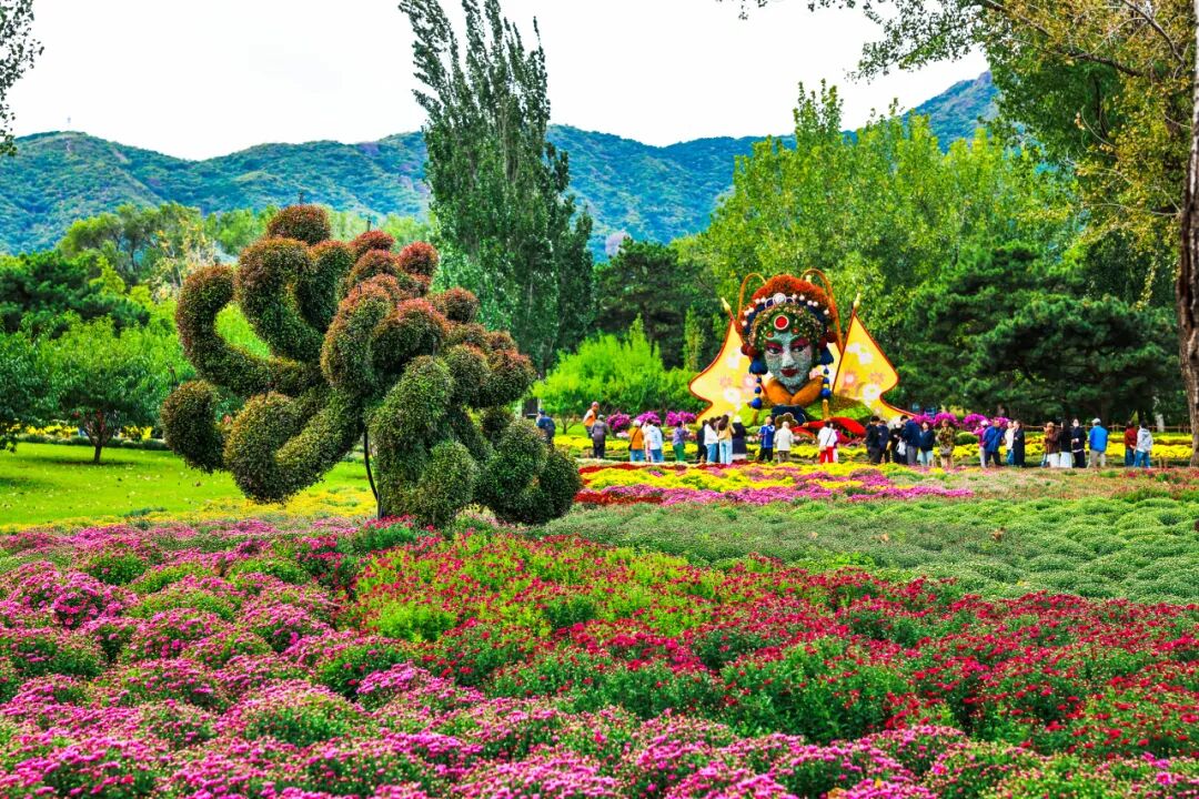 菊花展核心展区