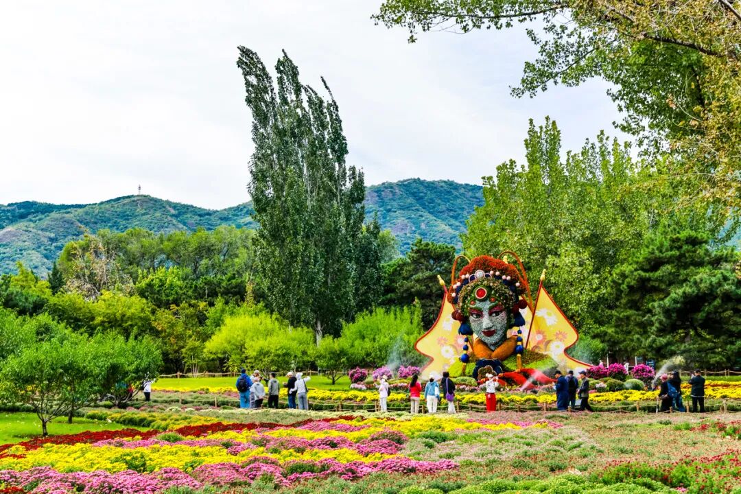 菊花展核心展区