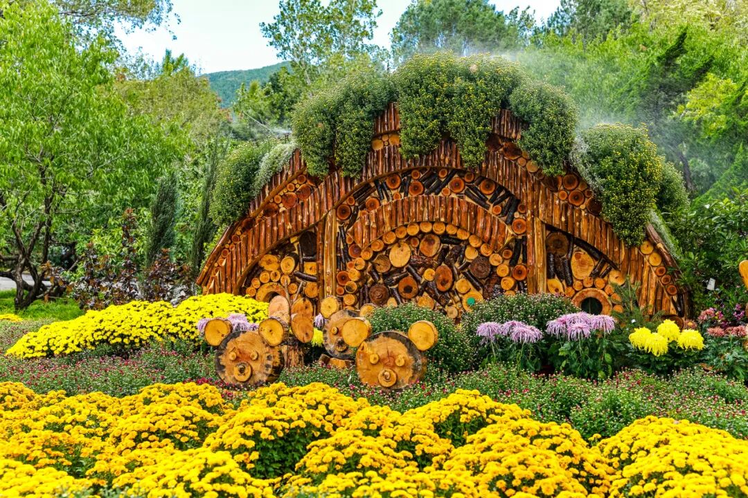 菊花展核心展区