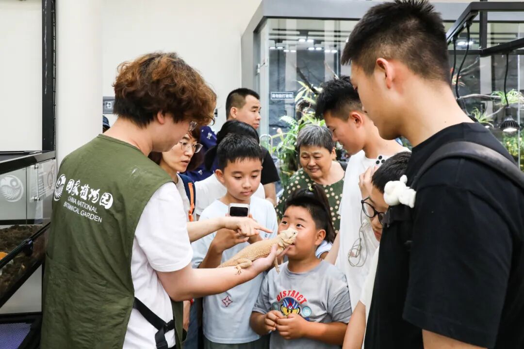 共生纪：动植物的奇妙相遇