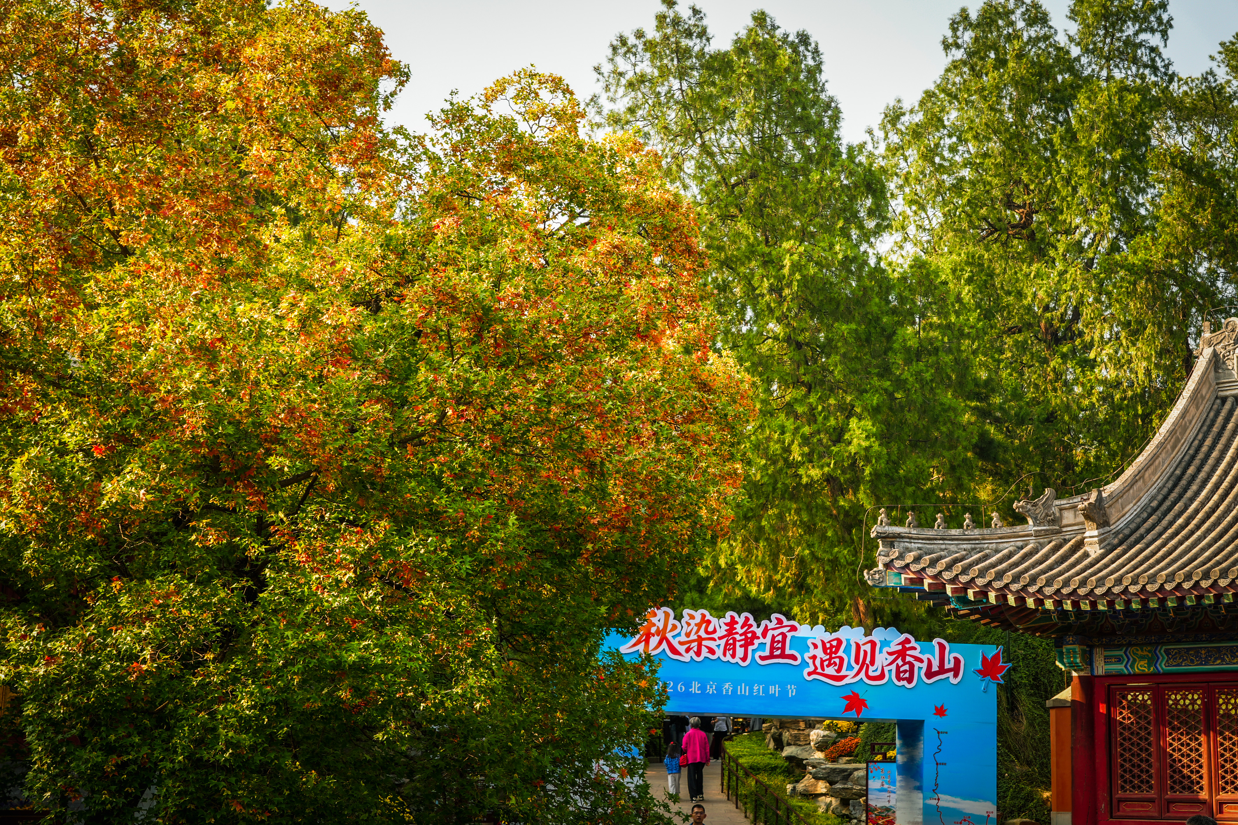 “秋染静宜 遇见香山”主题景观布置.jpg