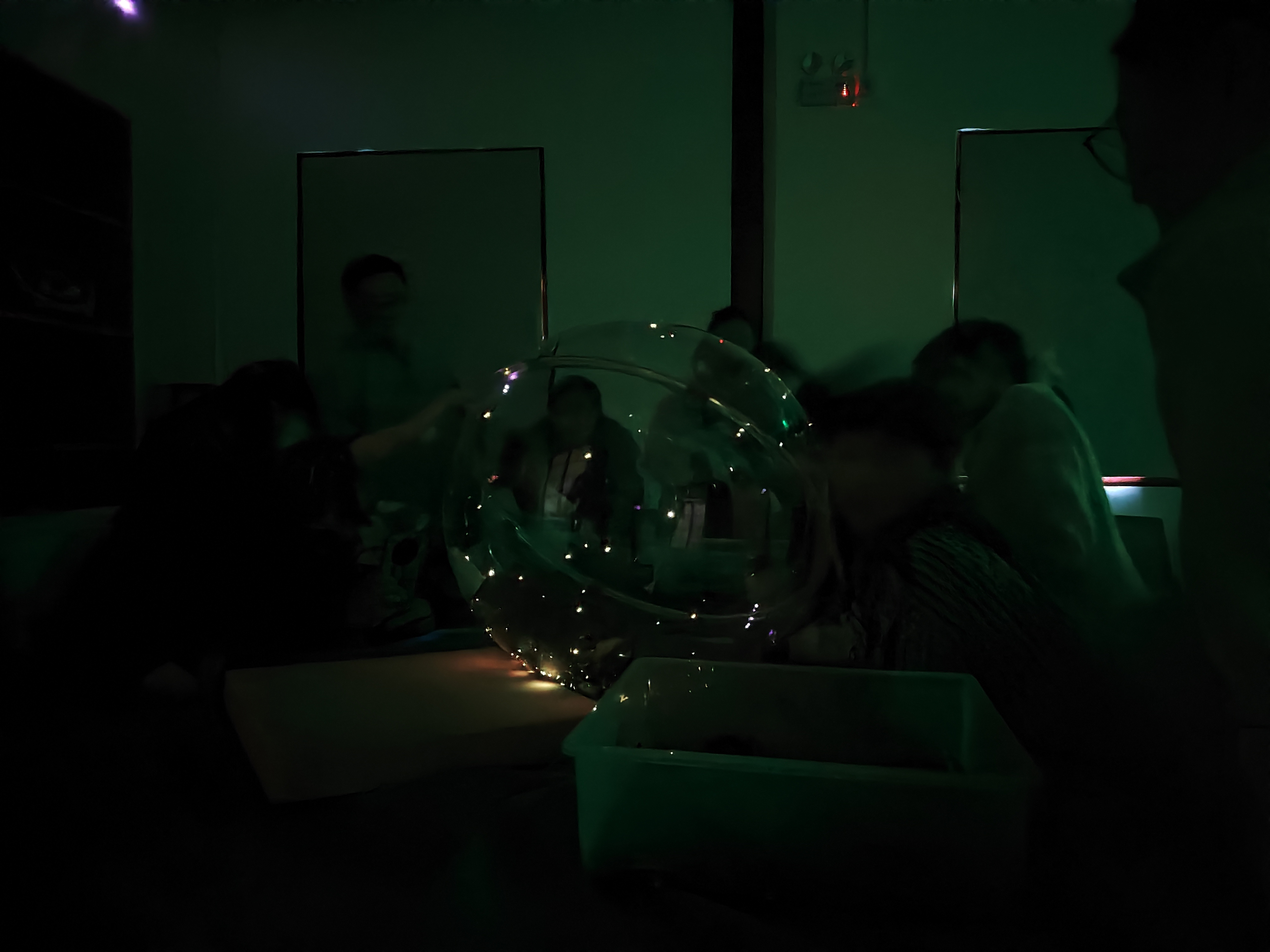 暗光环境下的萤火虫.jpg
