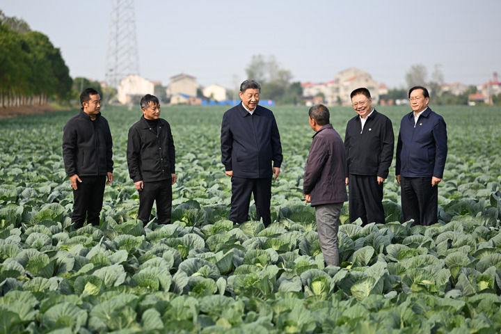 中共中央总书记、国家主席、中央军委主席习近平在湖北考察.jpg