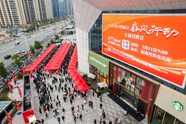 这是2025年2月11日在湖南省长沙市望城区龙湖月亮岛天街商场外坪拍摄的招聘会现场.jpeg