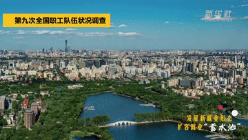 以数观势｜促进高质量充分就业 擦亮民生幸福底色