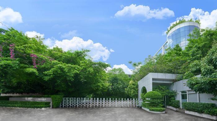 中国经济信心说丨绿动未来，让低碳成为一种生活方式