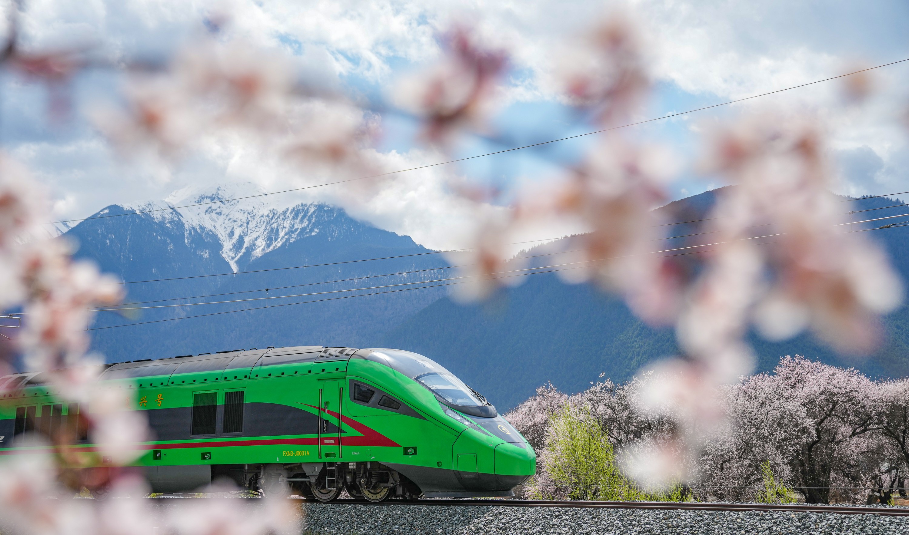 夯筑起应对复杂变局的坚实依托——中国加快建设全国统一大市场观察