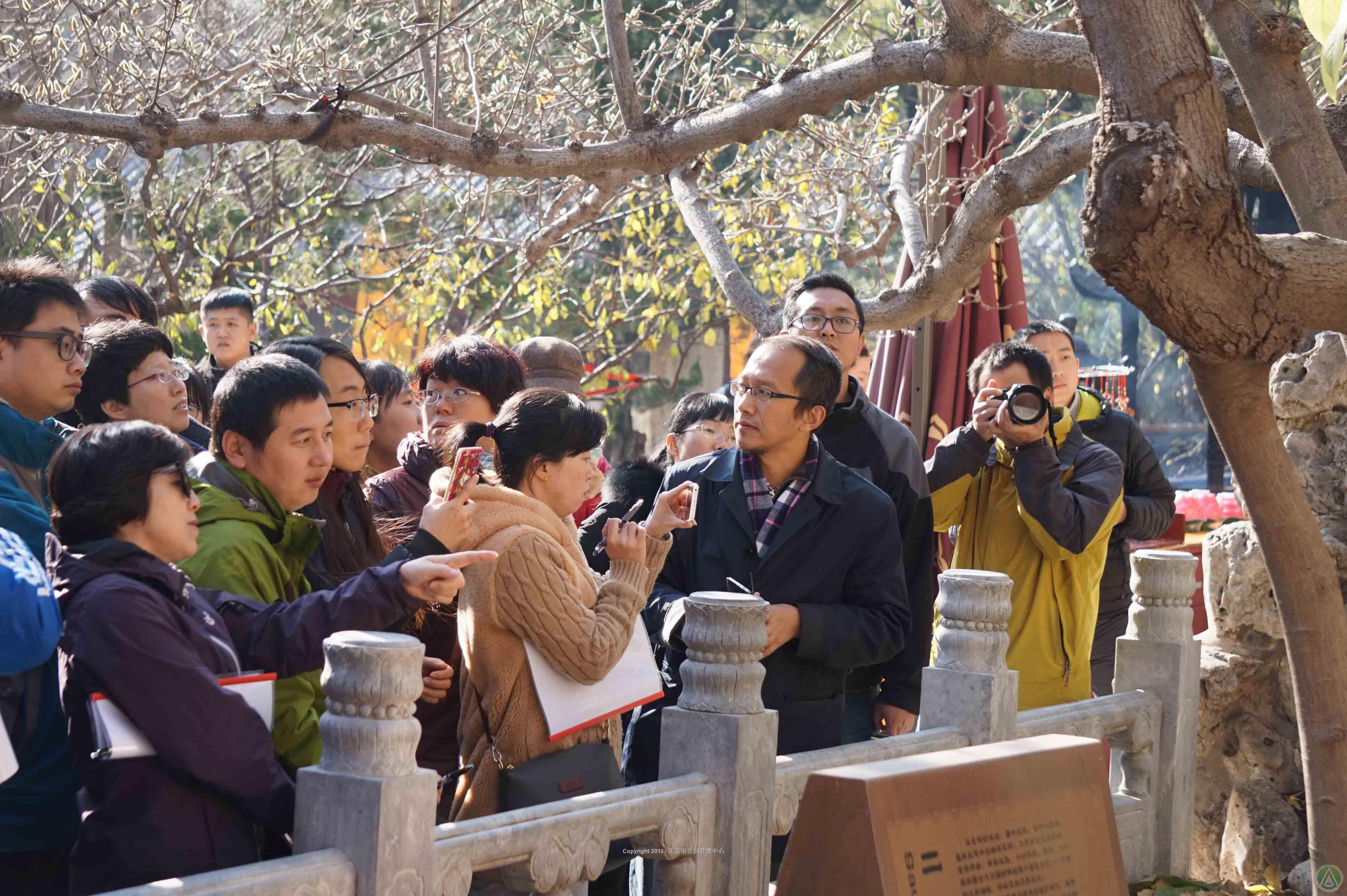 京津冀古树保护研究中心举办古树保护技术观摩培训