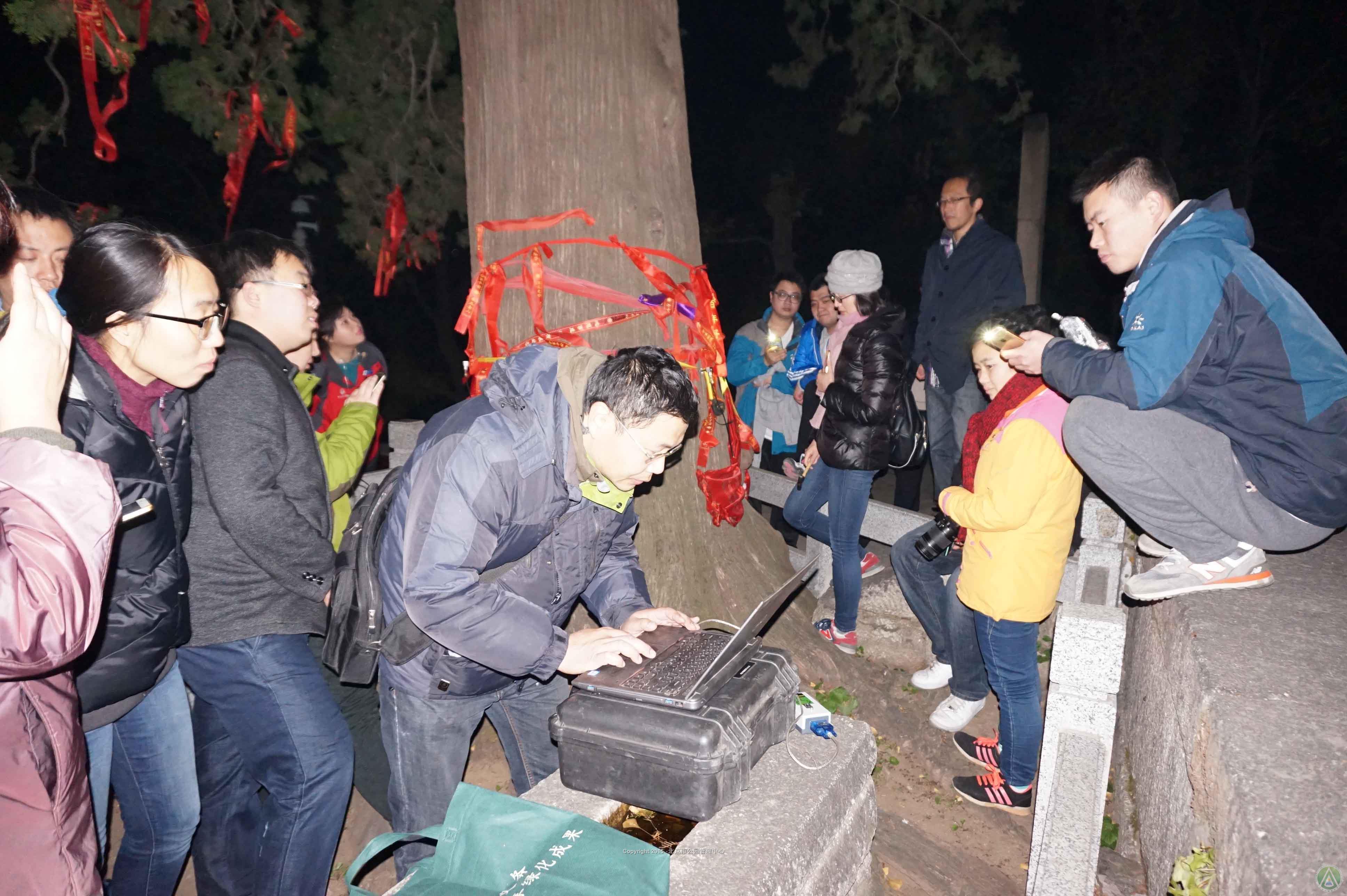 北京市园林科学研究院科研人员运用专业设备对戒台寺古槐和盘山古香柏进行了树洞探测