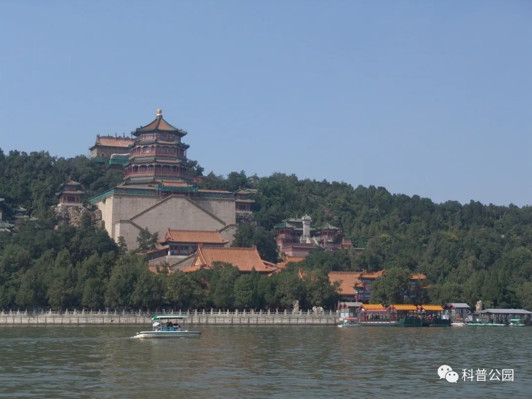 微信图片_20200720152958