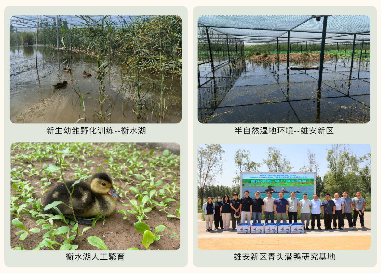 保护工作开展情况